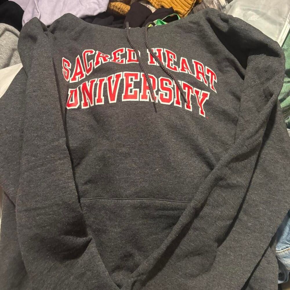 Champion Men's Grey and Black Hoodie